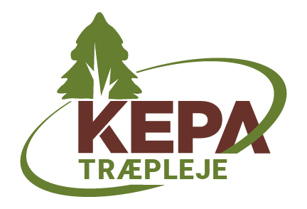 Kepa Topkapning